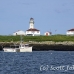 lighthouse_island_seal_machias_h_2308_can1014.jpg